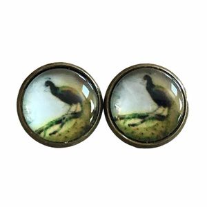 3 for 15🎀bronze tone peacock picture earrings